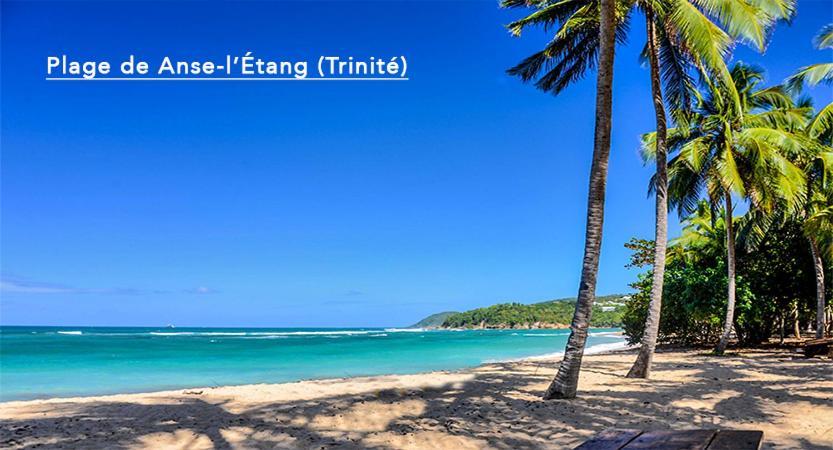 F3 Hibiscus - Piscine Chauffee - Vue Mer - 9 Min De La Plage - Ti Zwezo Paradi Trinite  Exterior foto