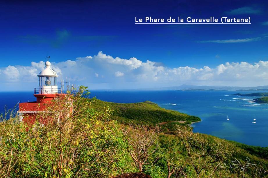 F3 Hibiscus - Piscine Chauffee - Vue Mer - 9 Min De La Plage - Ti Zwezo Paradi Trinite  Exterior foto