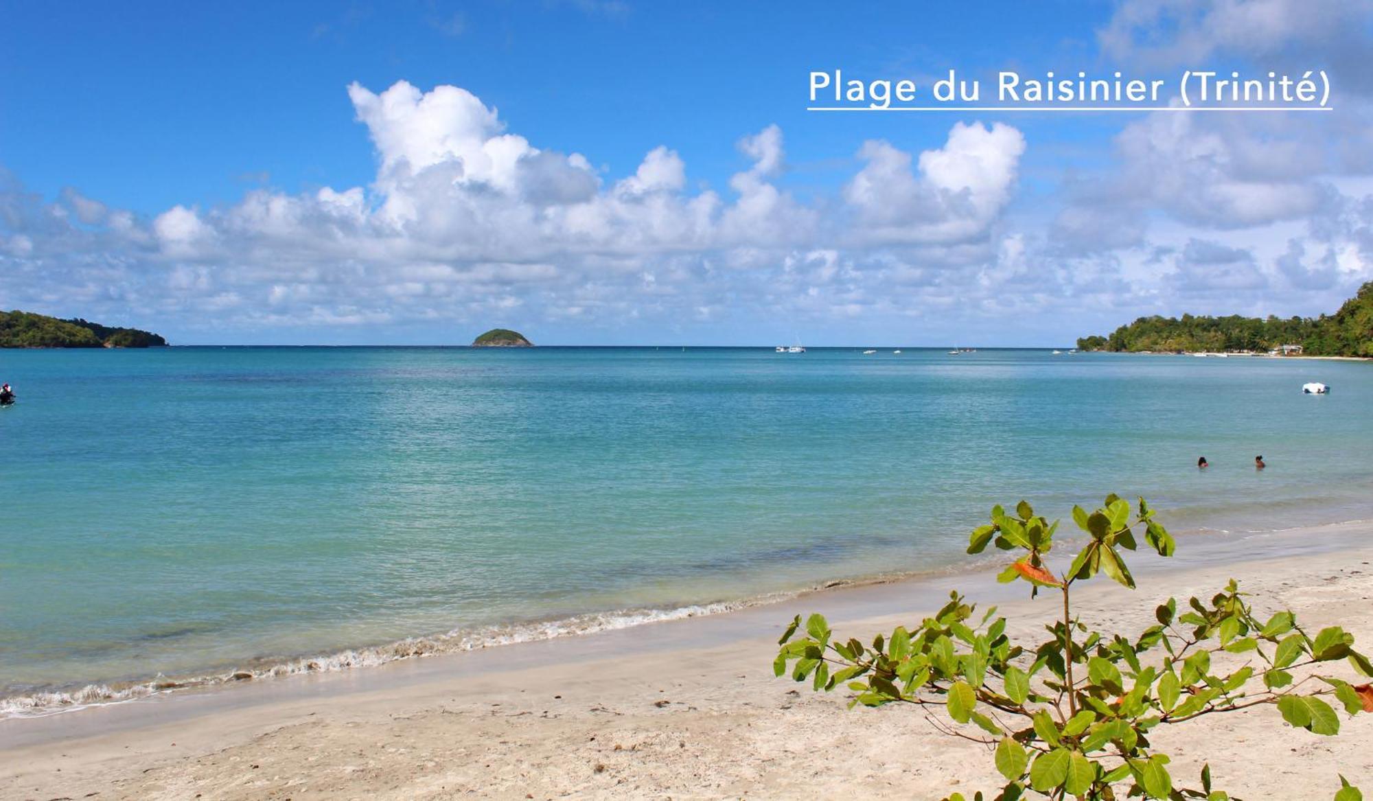 F3 Hibiscus - Piscine Chauffee - Vue Mer - 9 Min De La Plage - Ti Zwezo Paradi Trinite  Exterior foto